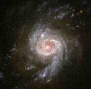 NGC 3310 NGC 3310