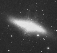 M82 M82