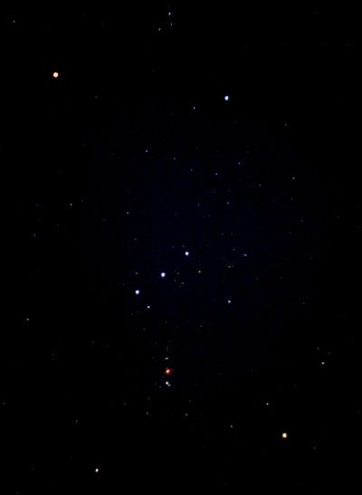 Orion