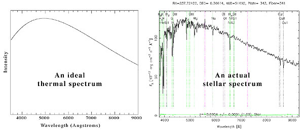 side-by-side graphs